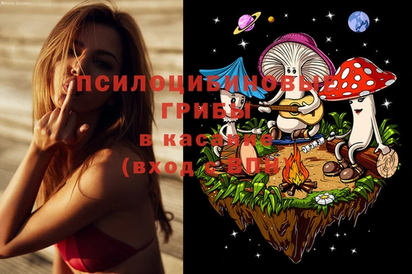 СК Алексин