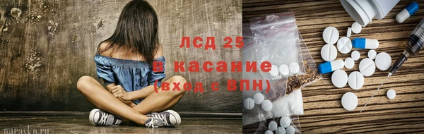 амф Алзамай