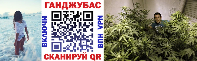 Каннабис план  купить  цена  Конаково 